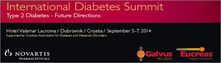 International Diabetes Summit Type 2 Diabetes – Future Directions